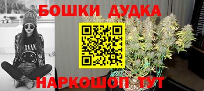 apvp Партизанск