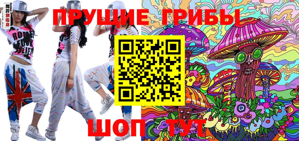 Псилоцибиновые грибы Psilocybine cubensis Советский