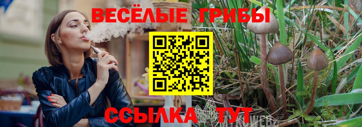 купить закладку  Вход с VPN  Советский  Галлюциногенные грибы Psilocybine cubensis 