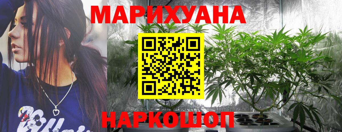 Каннабис индика  Вход с VPN  Советский  Марихуана сатива  Каннабис тримм 